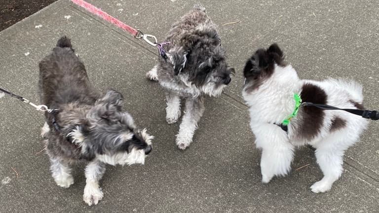 這是我說「我愛你」的方式, 有些愛，只能用陪伴完成。