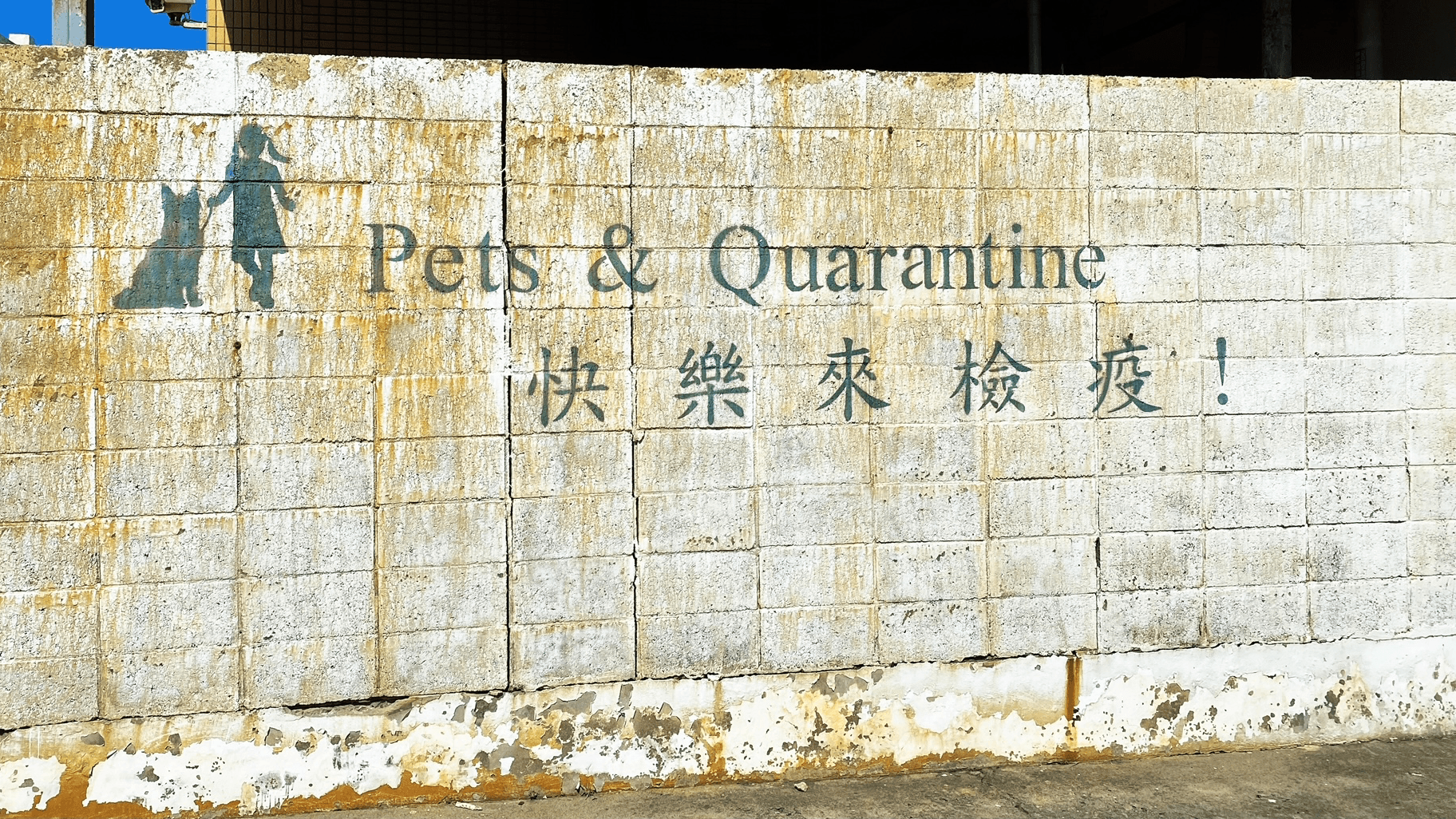 為什麼我們要力推台灣寵物入境免隔離？